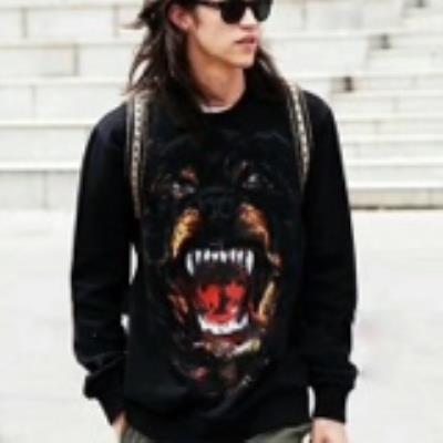 cheap givenchy hoodies cheap no. 494